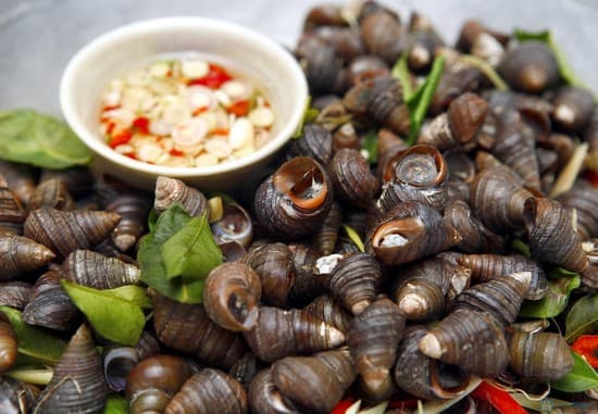 Ốc Luộc Sả